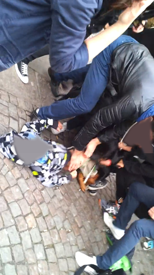 Goteborg, Hundattack, Polisen, Hund, Mentalt test